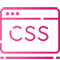 CSS
