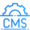 CMS And Plugin Upgrades